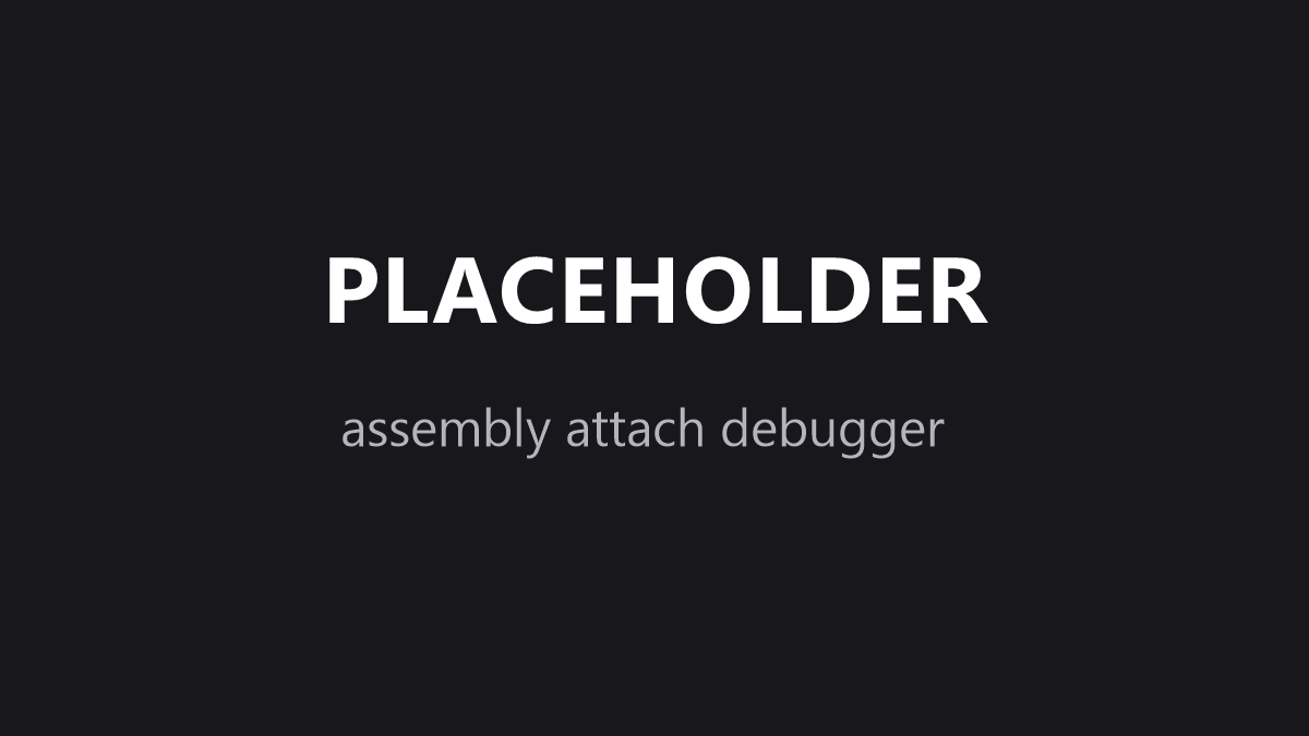 Assembly debugger